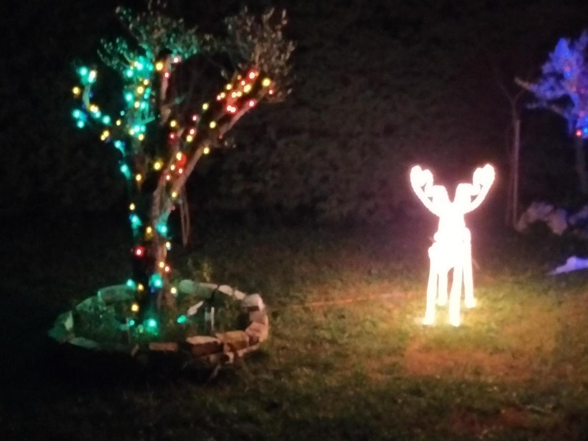 B&B Il Giardino Di Eolo Pietramelara Eksteriør bilde